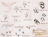 Earring Hook Chart by Rabbitwood and Reason